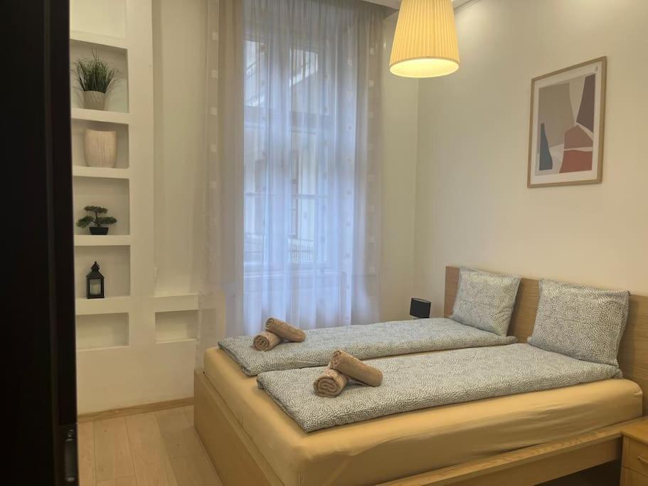 Szechenyi Renovated 2Br At Danube River Budapest Exteriör bild